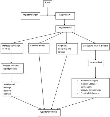 Hypertensive Crisis in Pediatric Patients: An Overview